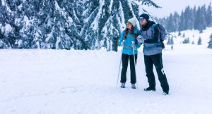 Kashmir Honeymoon Tour | Best Package For Couples